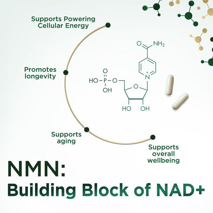 NMN 500 mg - 120 Capsules