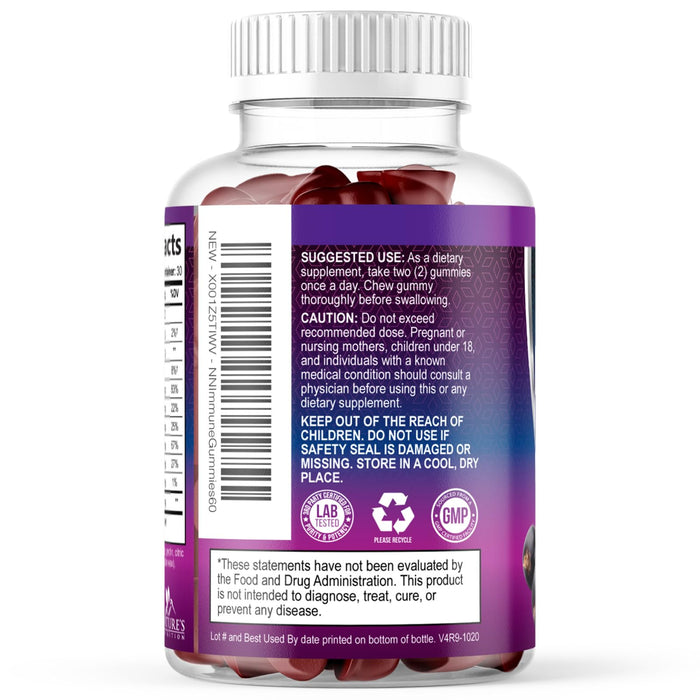Immune Support Gummies â€“ 60 Gummies