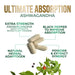 Premium Ashwagandha Ultimate Absorption