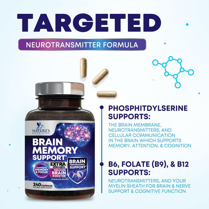 Brain Memory Support