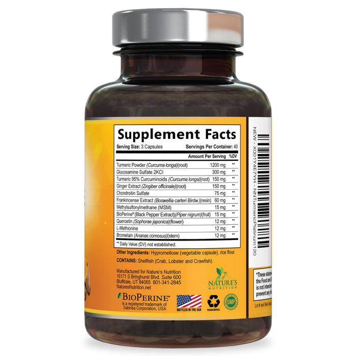 Turmeric Curcumin + Ginger & Black Pepper 2000 mg - 120 Capsules