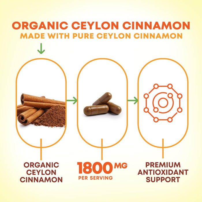 Ceylon Cinnamon 1800 mg - 240 Capsules