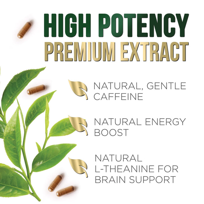 Green Tea Extract 1000 mg - 120 Capsules