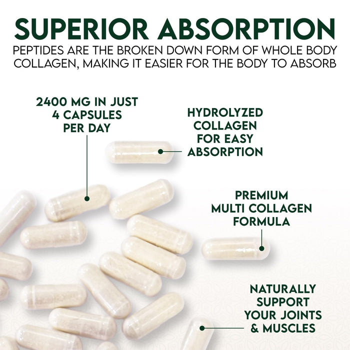 Multi Collagen Peptides Supplement 2400 mg, Types I, II, III, V & X Multi Collagen Pills Complex, Hydrolyzed Collagen Peptides Supplements, Hair, Skin, Nail, and Joint Support Supplement, 60 Capsules