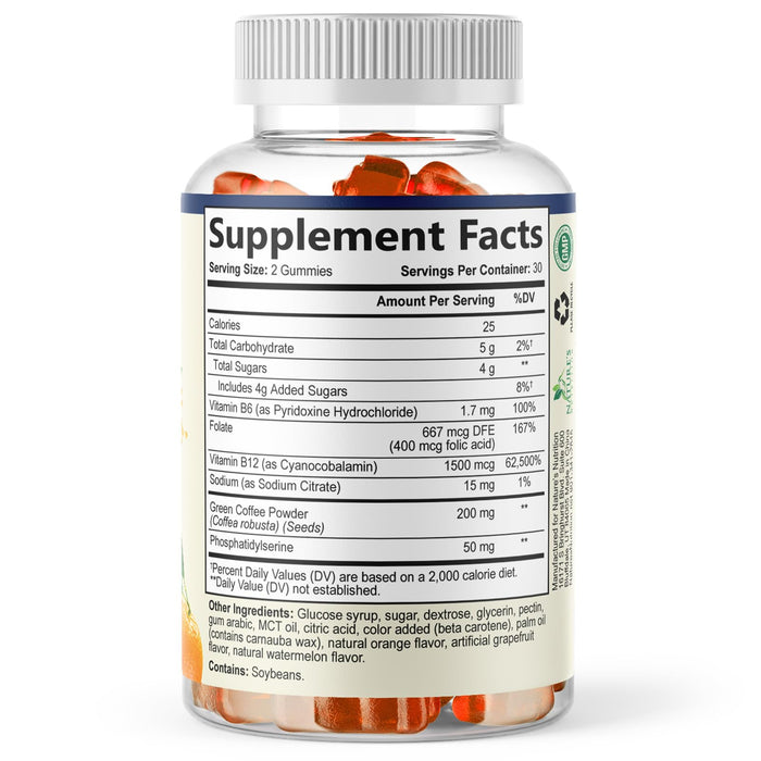 Brain & Focus Gummies - 60 Gummies