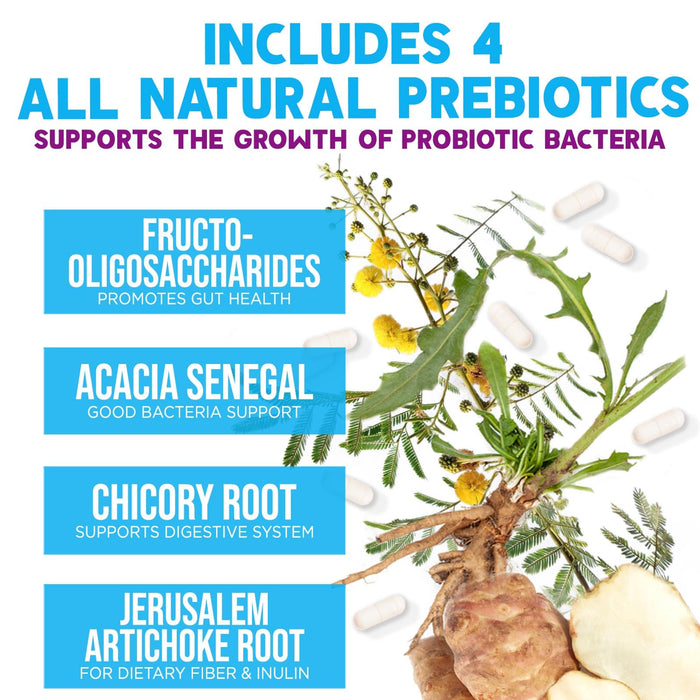 Probiotics 100 Billion CFU â€“ 60 Capsules
