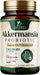 Akkermansia Probiotic