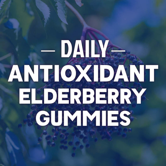 Immune Support Gummies â€“ 60 Gummies