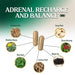Adrenal Recharge and Balance