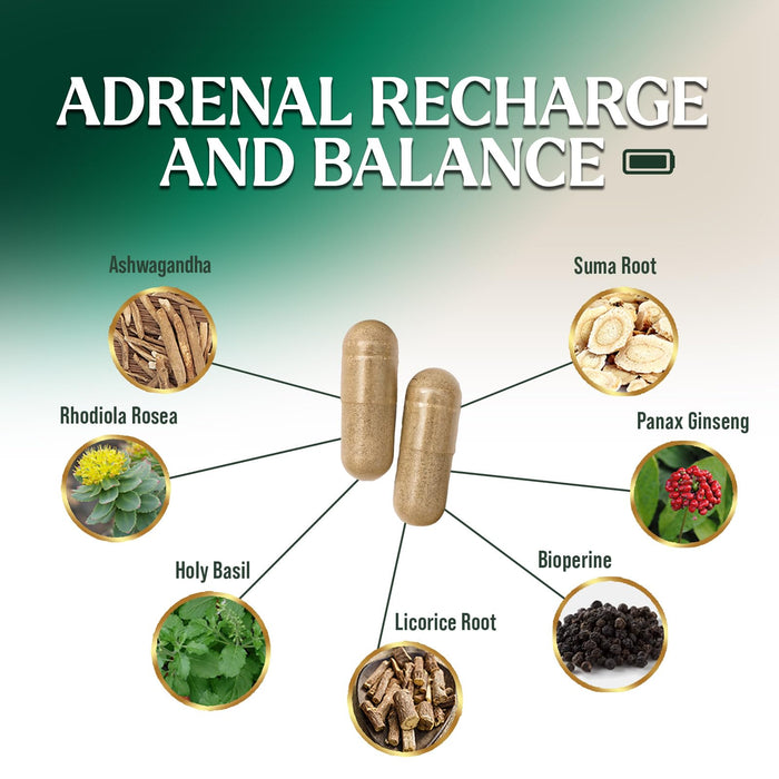 Adrennal Recharge and Balance