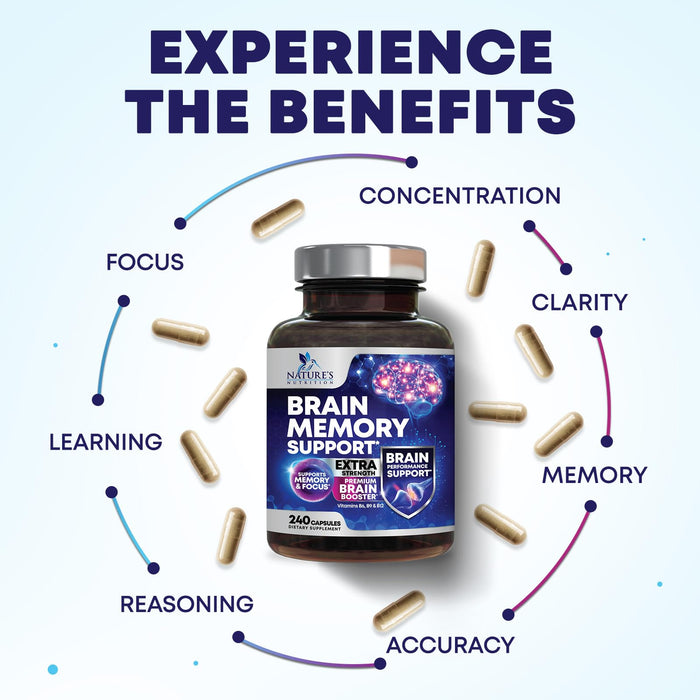 Brain Memory Support