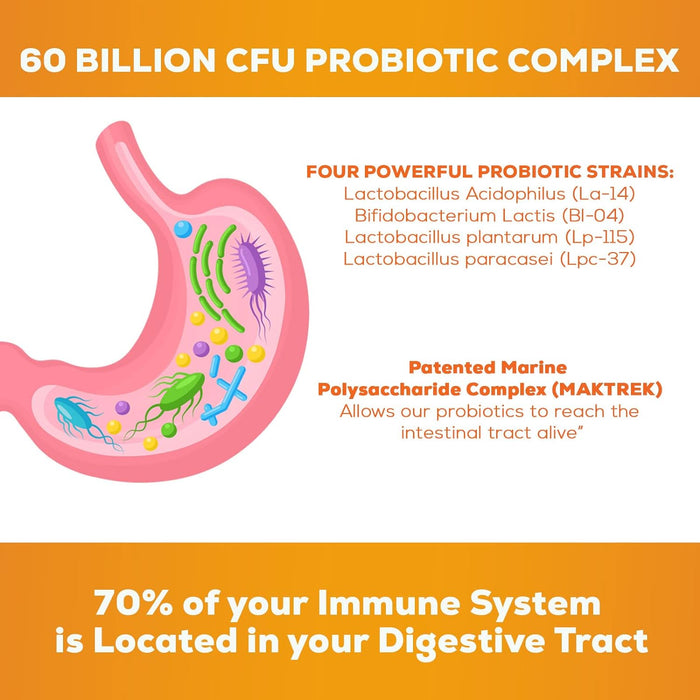 Probiotic for Digestive Health - 60 Billion CFU Daily Probiotics & Prebiotics Supplement with Acidophilus - Immune Support for Women & Men - Shelf Stable, Soy, Dairy & Gluten Free