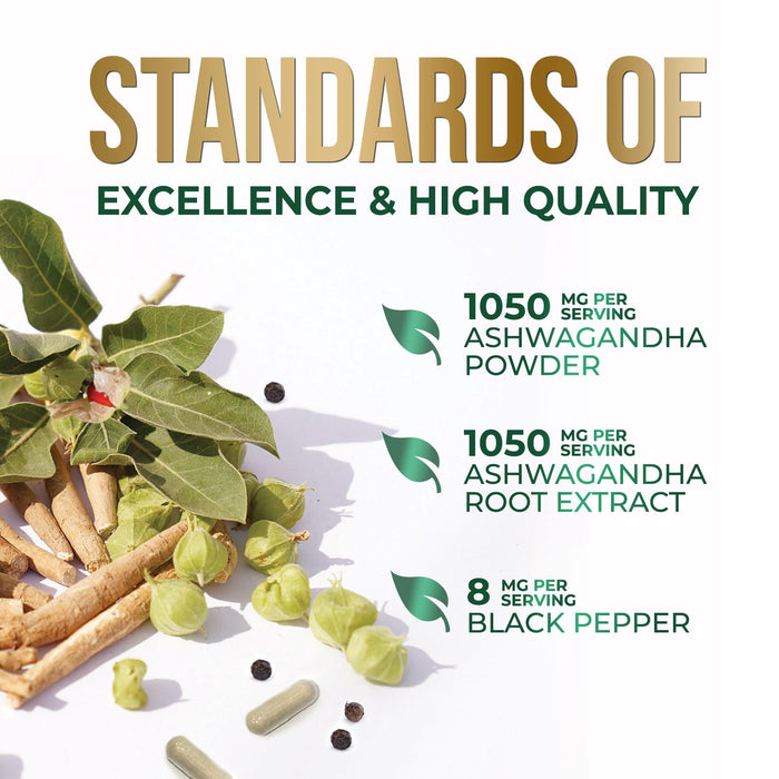Standards of Excellence 