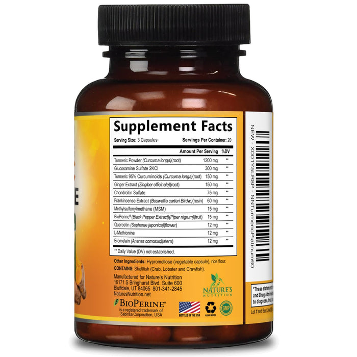 Turmeric Curcumin + Ginger & Black Pepper 2000 mg - 60 Capsules