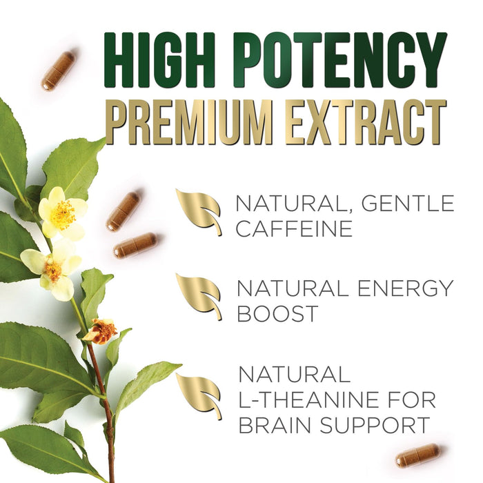 Green Tea Extract 1000 mg - 60 Capsules