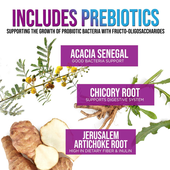 Probiotics for Women & Men 60 Billion CFU - 10 Strains with Lactobacillus, Digestive Gut Health Probiotics & Immune Support Supplement, Supports Occasional Constipation, Gas & Bloating - 60 Capsules