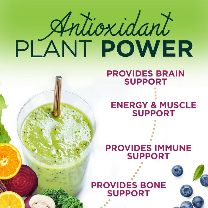 Greens Superfood Powder Supplement - Super Green Smoothie Mix Blend with Spirulina, Wheat Grass, Chlorella, Beets, Digestive Enzymes & Antioxidants - Natural Gut Health, Vegan & Non-GMO - 30 Servings