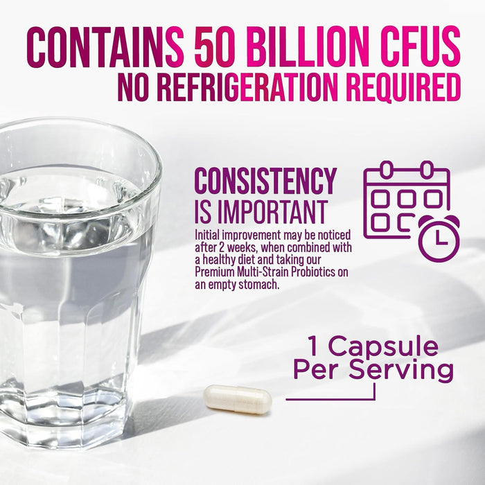 Probiotics, 60 Billion CFU per Serving, Probiotic with Prebiotics for Digestive & Immune Health Support for Women & Men - Nature's Supplement is Shelf Stable, Soy, Dairy & Gluten Free
