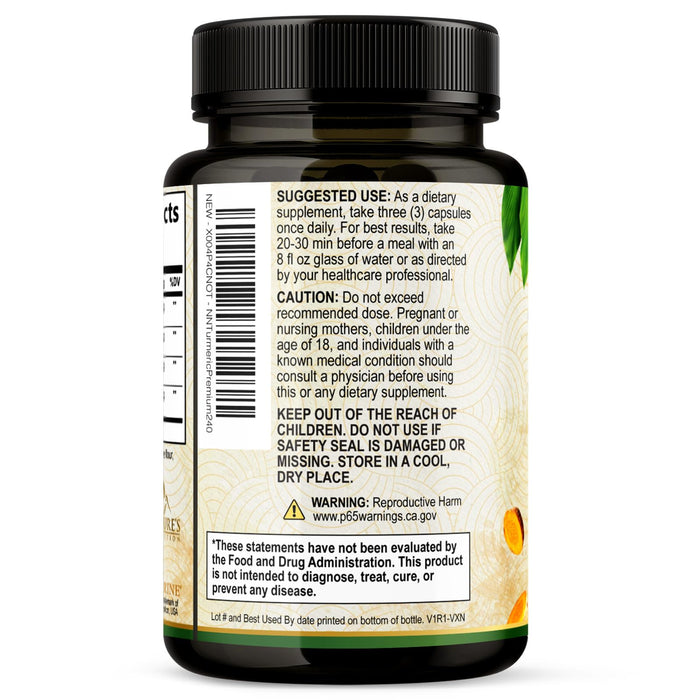 Turmeric Curcumin + Ginger & Black Pepper 1750 mg - 240 Count