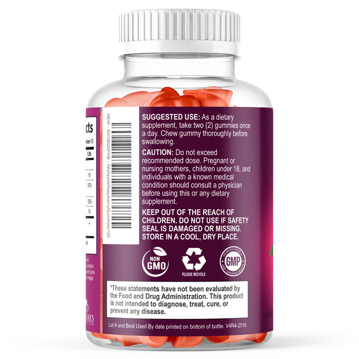 Apple Cider Vinegar Gummies Sugar Free 1000mg for Cleanse â€“ 120 Gummies