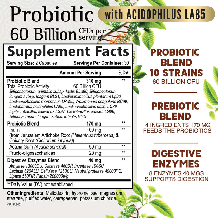 Probiotics for Women & Men - 60 Billion CFU 10 Strains + Prebiotics - Digestive Health, Gut & Immune Support - Support for Occasional Constipation, Gas & Bloating - Non-GMO Shelf Stable - 60 Capsules