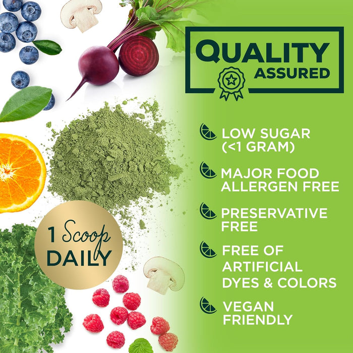 Greens Superfood Powder Supplement - Super Green Smoothie Mix Blend with Spirulina, Wheat Grass, Chlorella, Beets, Digestive Enzymes & Antioxidants - Natural Gut Health, Vegan & Non-GMO - 30 Servings