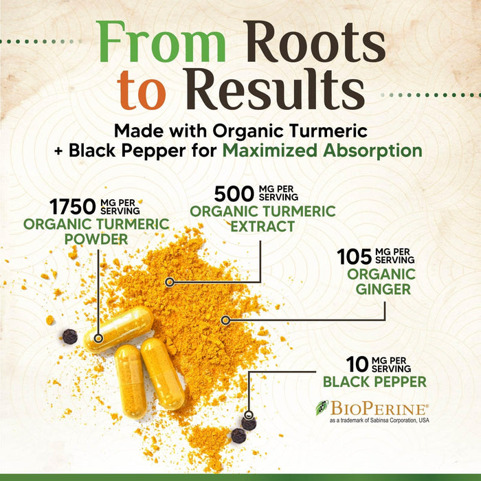 Turmeric Curcumin + Ginger & Black Pepper 1750 mg - 240 Count