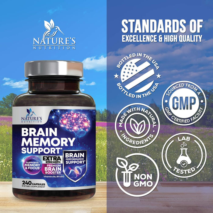 Brain Memory Support