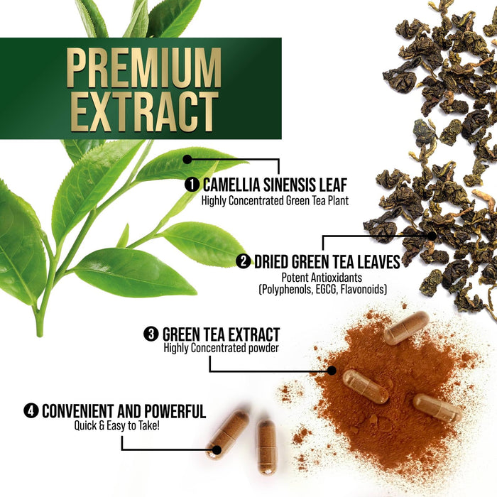 Green Tea Extract 1000 mg - 60 Capsules