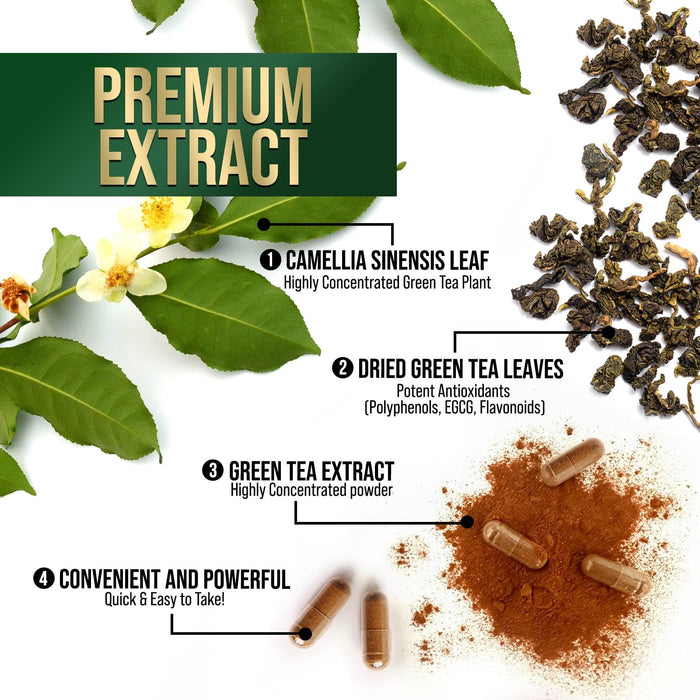 Green Tea Extract 1000 mg - 60 Capsules