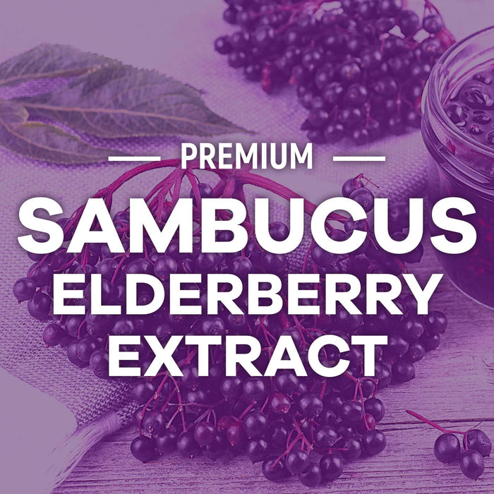 Sambucus Elderberry â€“ 60 Gummies