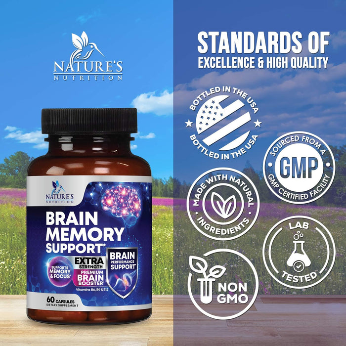Brain Memory Support