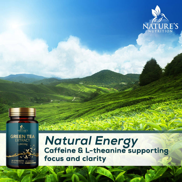 Green Tea Extract 98% Standardized EGCG