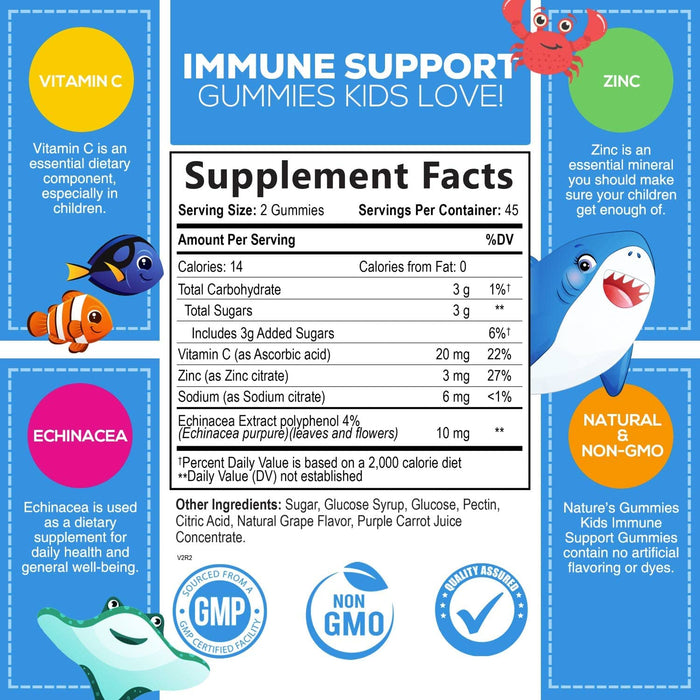 Kids Immune Support Gummies with Vitamin C, Zinc & Echinacea, Gluten Free & Non-GMO Chewable Immune Support for Kids Gummy, Daily Childrens Immune Support Vitamins, Vegan, Berry Flavor